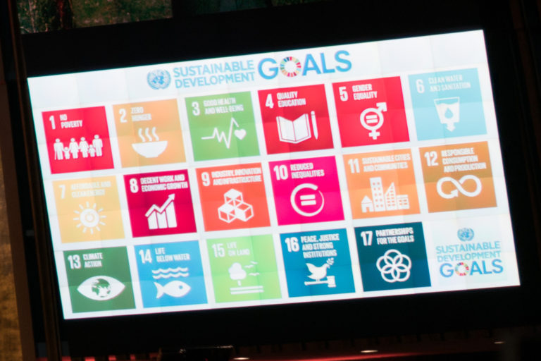 In case we're not sure what's "the good battle", how about picking one of the UN's 17 goals for 2030?