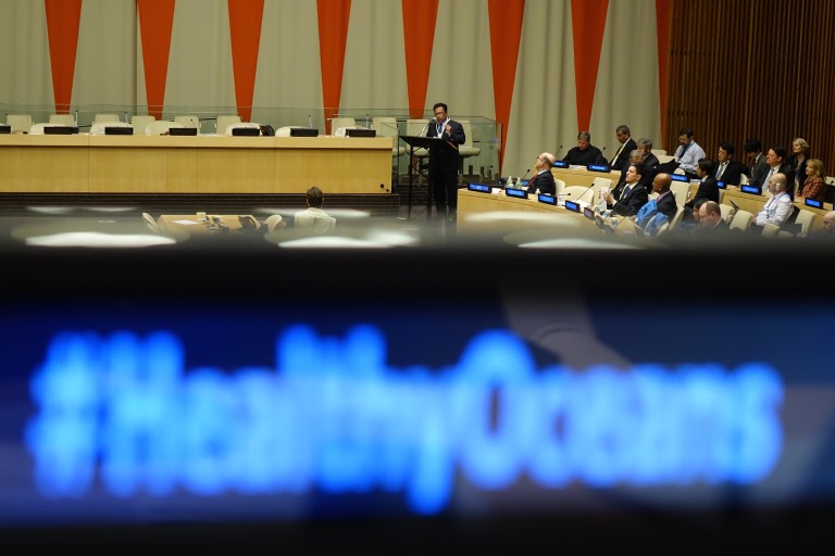 HealthyOceans conference at the UN