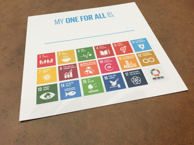 The UN Sustainable Development Goals are attainable, if we each choose one and make it our focus.