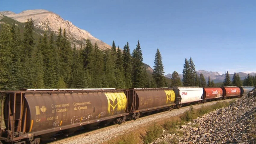 Operations Research - Rail Cars filled with grain for Livestock Feed
