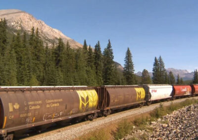 Livestock Feed Formulation for 440 Railroad Cars a Day