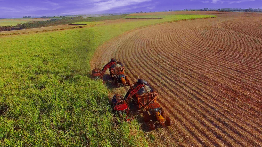 Land Management for Sugar Cane