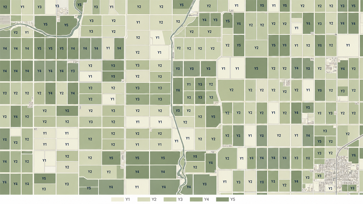 Agricultural parcels assigned to five replanting years